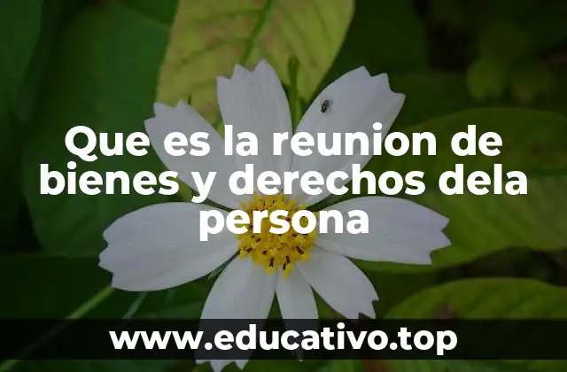 Que es la reunion de bienes y derechos dela persona