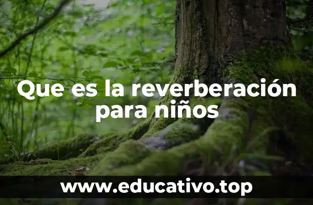 Que es la reverberación para niños