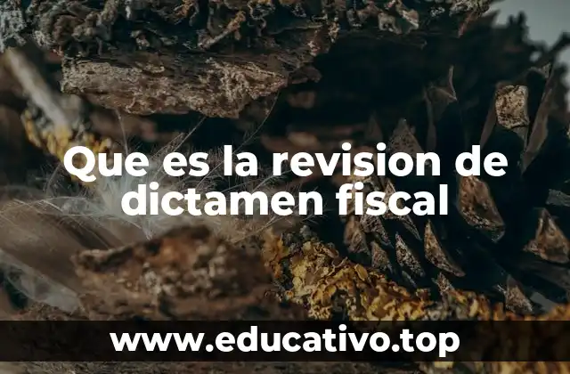 Que es la revision de dictamen fiscal