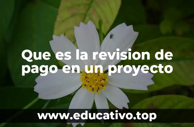 Que es la revision de pago en un proyecto
