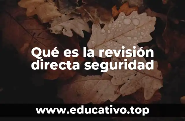 Qué es la revisión directa seguridad