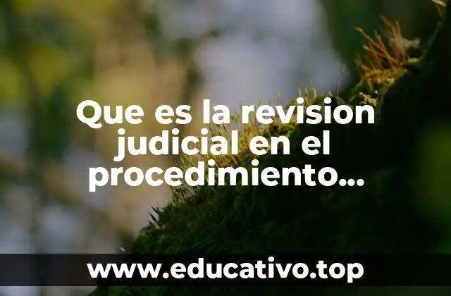 El rol del juez en la revisión de actos administrativos