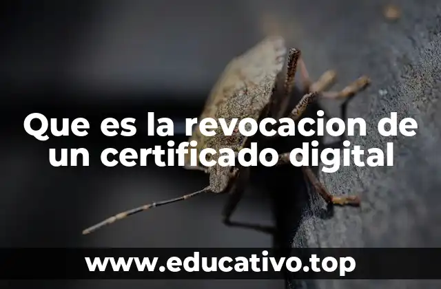 Que es la revocacion de un certificado digital