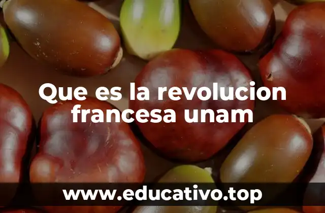 Que es la revolucion francesa unam