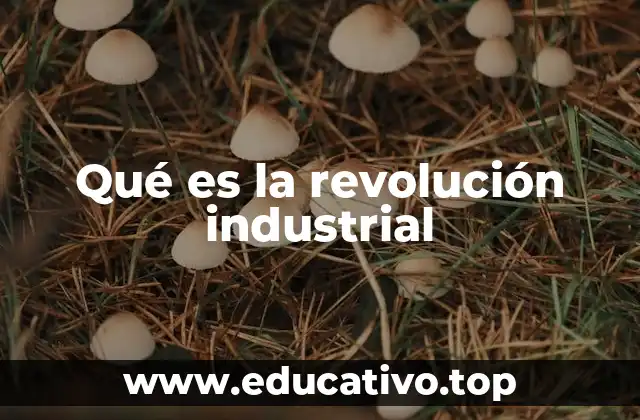 Qué es la revolución industrial