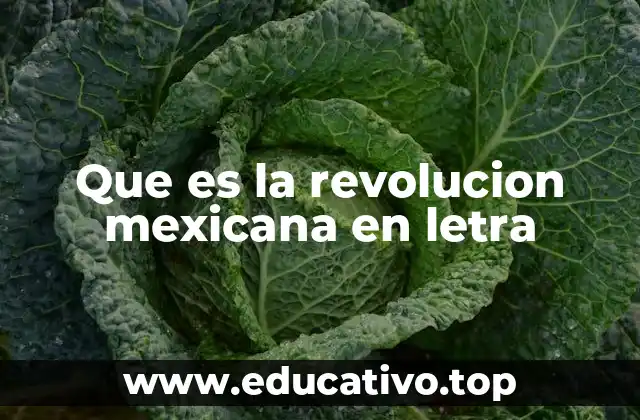 Que es la revolucion mexicana en letra