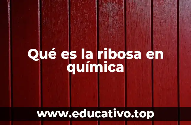Qué es la ribosa en química
