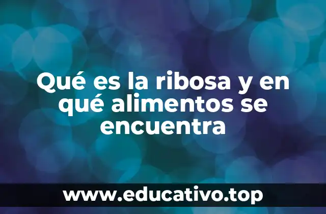 Qué es la ribosa y en qué alimentos se encuentra