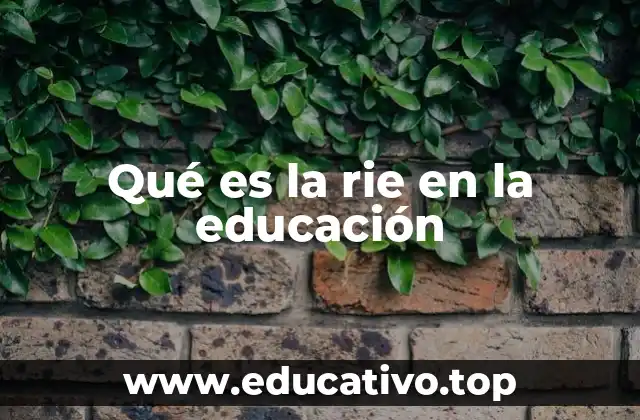 Qué es la rie en la educación