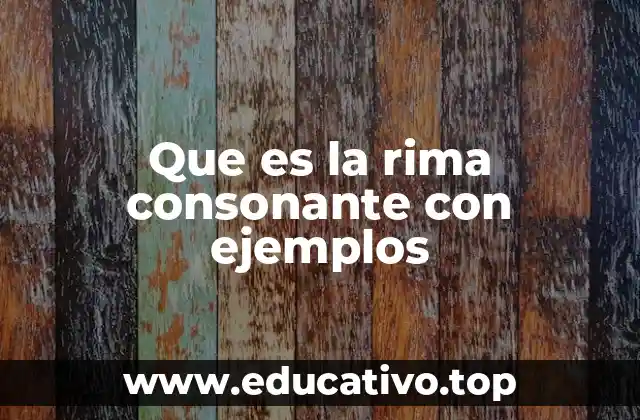 Que es la rima consonante con ejemplos