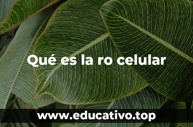Qué es la ro celular