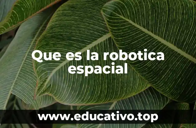 Que es la robotica espacial
