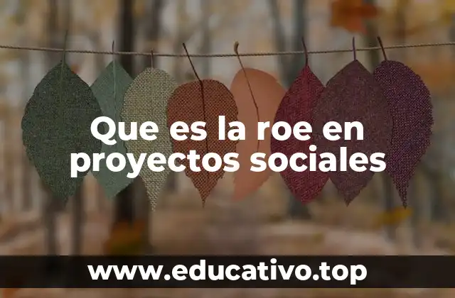 Que es la roe en proyectos sociales