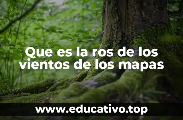 Que es la ros de los vientos de los mapas