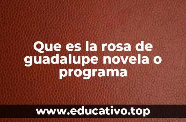 Que es la rosa de guadalupe novela o programa