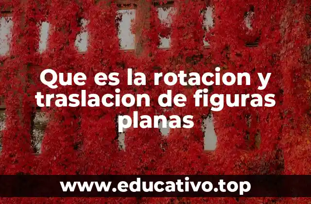 Cómo se aplican estas transformaciones en la vida real