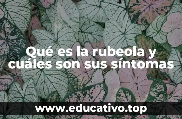 Qué es la rubeola y cuáles son sus síntomas