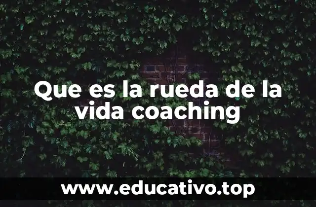 Que es la rueda de la vida coaching