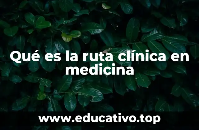 Qué es la ruta clínica en medicina