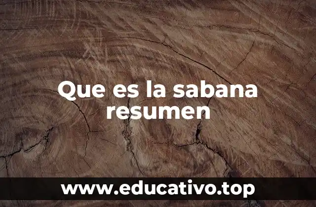 Características del ecosistema de la sabana