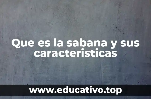 Que es la sabana y sus caracteristicas