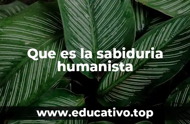 Que es la sabiduria humanista