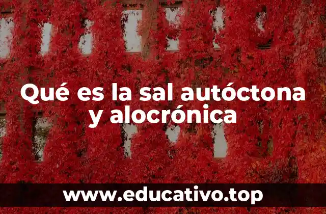 Qué es la sal autóctona y alocrónica