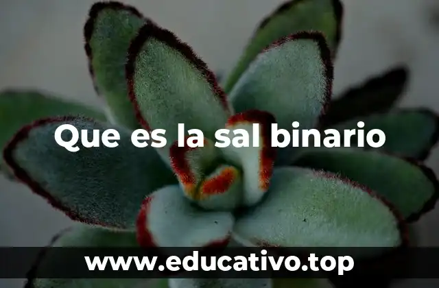 Que es la sal binario