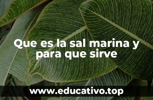 Que es la sal marina y para que sirve