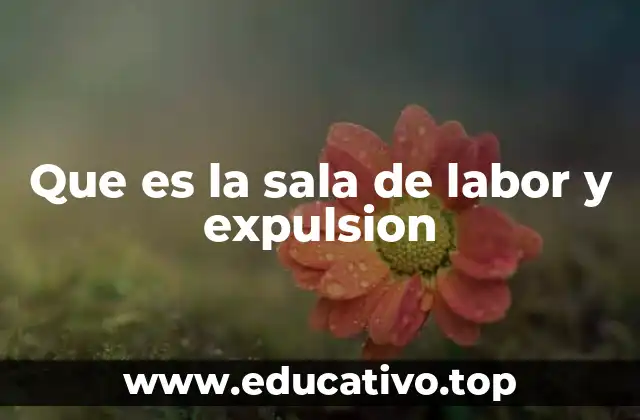 Que es la sala de labor y expulsion