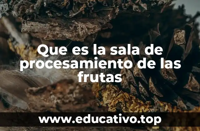 Que es la sala de procesamiento de las frutas