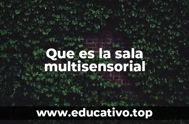 ¿Cómo funciona una sala multisensorial?