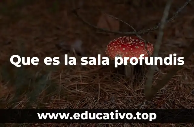 Que es la sala profundis