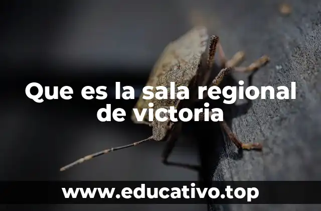 Que es la sala regional de victoria