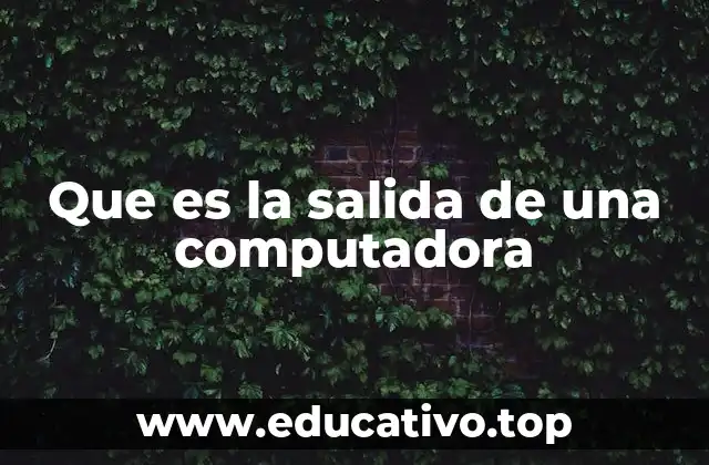 Que es la salida de una computadora