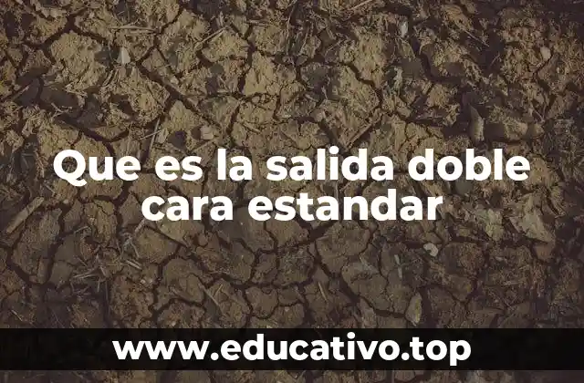 Que es la salida doble cara estandar