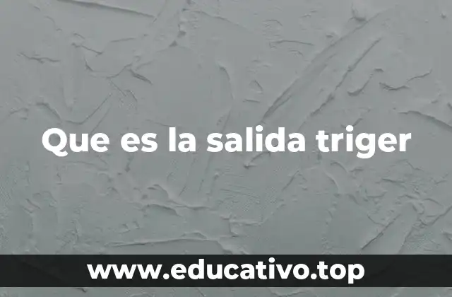 Que es la salida triger