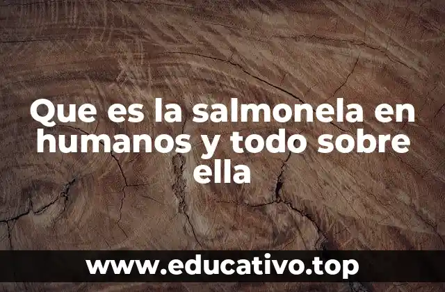 Que es la salmonela en humanos y todo sobre ella