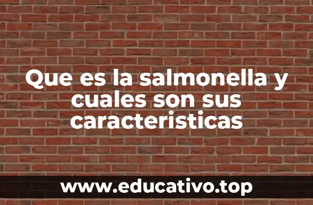 Que es la salmonella y cuales son sus caracteristicas