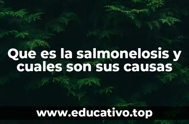 Que es la salmonelosis y cuales son sus causas