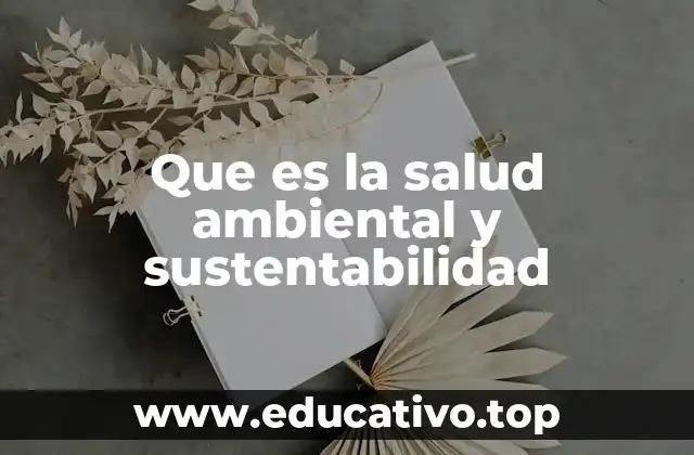 Que es la salud ambiental y sustentabilidad