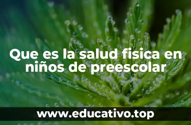 Que es la salud fisica en niños de preescolar