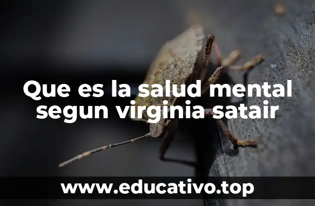 Que es la salud mental segun virginia satair