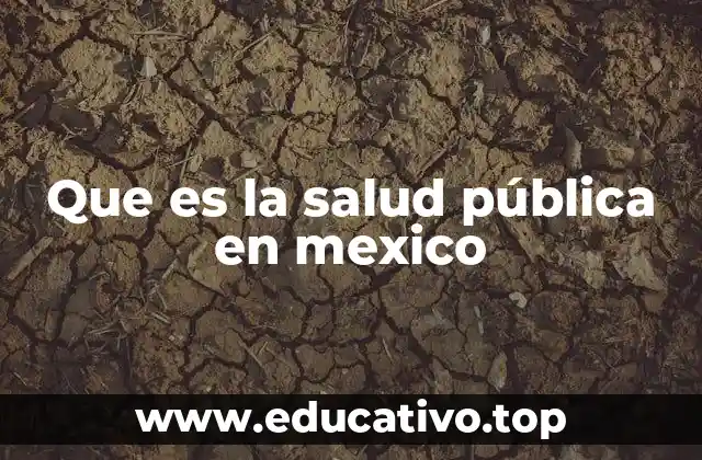Que es la salud pública en mexico