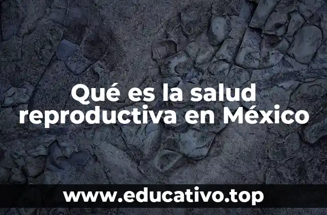 El papel de las instituciones en la salud reproductiva en México