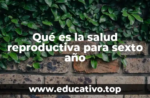 Qué es la salud reproductiva para sexto año