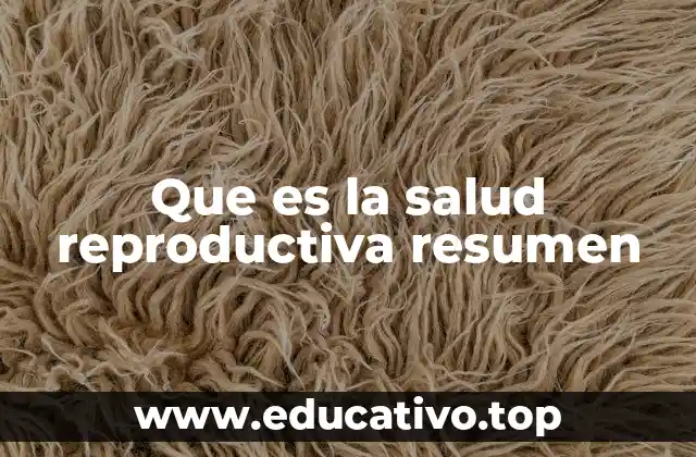 Que es la salud reproductiva resumen