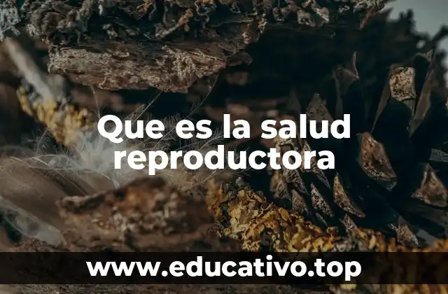 Que es la salud reproductora