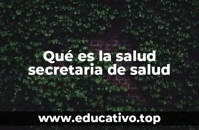 Qué es la salud secretaria de salud
