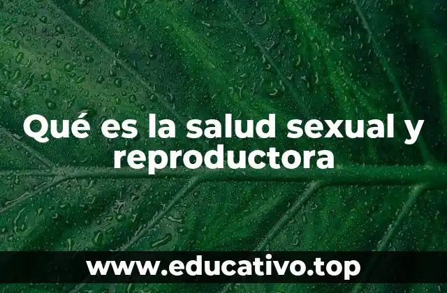Qué es la salud sexual y reproductora